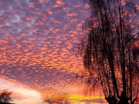 [전재민의 부르지 못한 노래] 141. 나 바람 되어