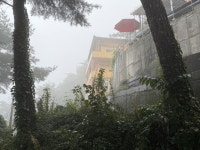 관효 스님 창종 80주년, 오늘 걸음이 내일의 큰 길