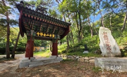 조계종 큰스님 상좌 안정사 종단 소속 몰랐다 했지만