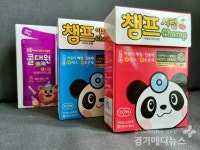 챔프시럽 갈변 현상, 인도산 D-소르비톨 첨가제 때문