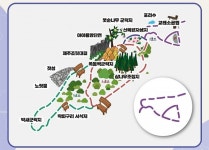 행복과 건강의 교래삼다수 숲길에서 힐링을