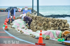 해안도로에 세워지는 돌담