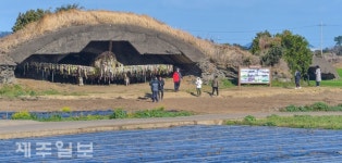 군사시설·日 연호 비석...제주 전역에 일제 식민잔재 산재
