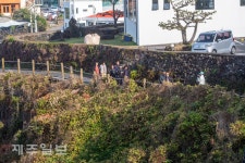 가을 제주 산책