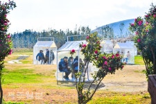 겨울 낭만 즐기기