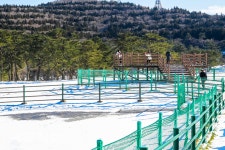 제주의 겨울 만끽