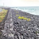 평화·상생의 사시복지 시작…신화의 터전 온평리