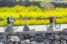 자전거 타고 달리는 해안도로