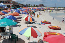 계절음식점 바가지요금 우려...행정당국 대책 마련