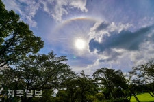 제주에 뜬 햇무리