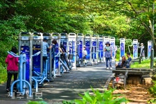 가을 아침 운동