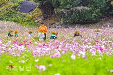 겨울 문턱에 가을 추억 쌓기
