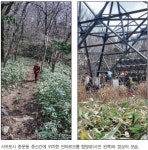 한라산 둘레길과 이어진 숲길 산책 일품