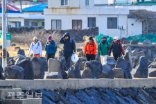 함께 즐기는 올레길