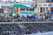 함께 즐기는 올레길