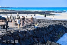 제주의 낭만 겨울바다