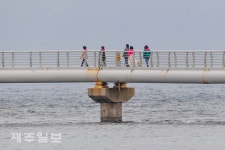 봄 바다위 산책