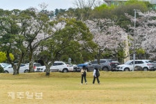 봄비 내리는 제주대학교 캠퍼스