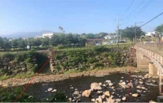 제주 도순리 녹나무자생지 강정교 재가설 사업 본격 추진된다