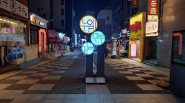 무늬만 차(車)없는 거리....법적 근거 갖추지 못했다