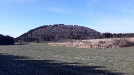 초록의 물결·하얀 메밀꽃 절경