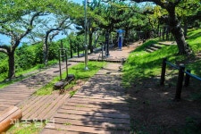 폭염에 한산한 야외 체력단련장