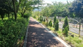 서귀포시, 학교 주변 자녀안심 그린숲 조성