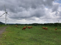 조선시대 말 명소 만든 광활한 목장 이야기
