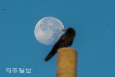 파란 하늘에 선명한 달