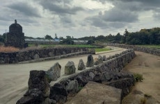 선비 마을 난산리의 자랑 의사(義士) 오흥태