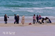 추워도 바다 산책