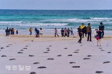 추워도 바다 산책