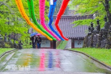 오색연등길 산책