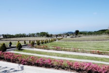 매장에서 화장 후 자연장으로…변화하는 장묘문화