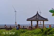 해상풍력단지 배경으로 찰칵