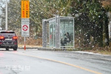 내리는 눈을 피해