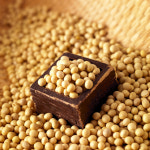 콩 섭취, 노인·폐경기 여성 우울증 예방에 도움