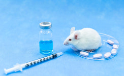 세계 실험 동물의 날…무분별한 희생은 그만, 동물실험 대체재 개발 박차