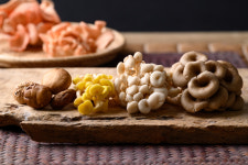 축산대국 호주서 버섯 판매가 급증한 이유