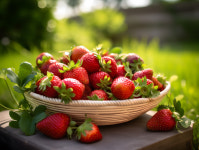 [비건헬스] 매일 딸기 섭취했더니 놀라운 변화? 인지 기능 및 심장 건강 향상