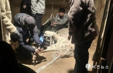 갈비 사자 바람이 구조된 부경동물원, 남아있는 동물들은 어쩌나
