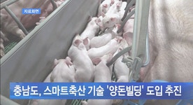 한국동물보호연합, 충남도에 동물 학대 논란의 양돈빌딩 건립 중단 촉구