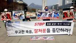 [V포토] 동물착취 공장식축산을 종식하라
