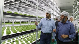 농심, 오만에 첫 스마트팜 수출