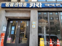 시민단체 동물학대 화천 산천어축제 반대...화천군 입장 주목