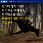 KBS 태종 이방원 말 까미 학대 사건 관련자 검찰 송치···동물보호법 위반 혐의