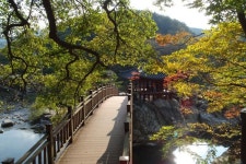 화림계곡 명승 중의 으뜸 거연정(咸陽 居然亭) 원림