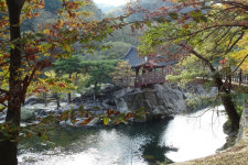화림계곡 명승 중의 으뜸 거연정(咸陽 居然亭) 원림