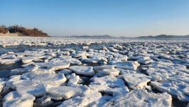 2월 한파로 유빙 장관...인천 강화 동막해변 관광 특수 누려