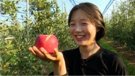 인간극장, 사과밭에서 피어나는 가족의 이야기